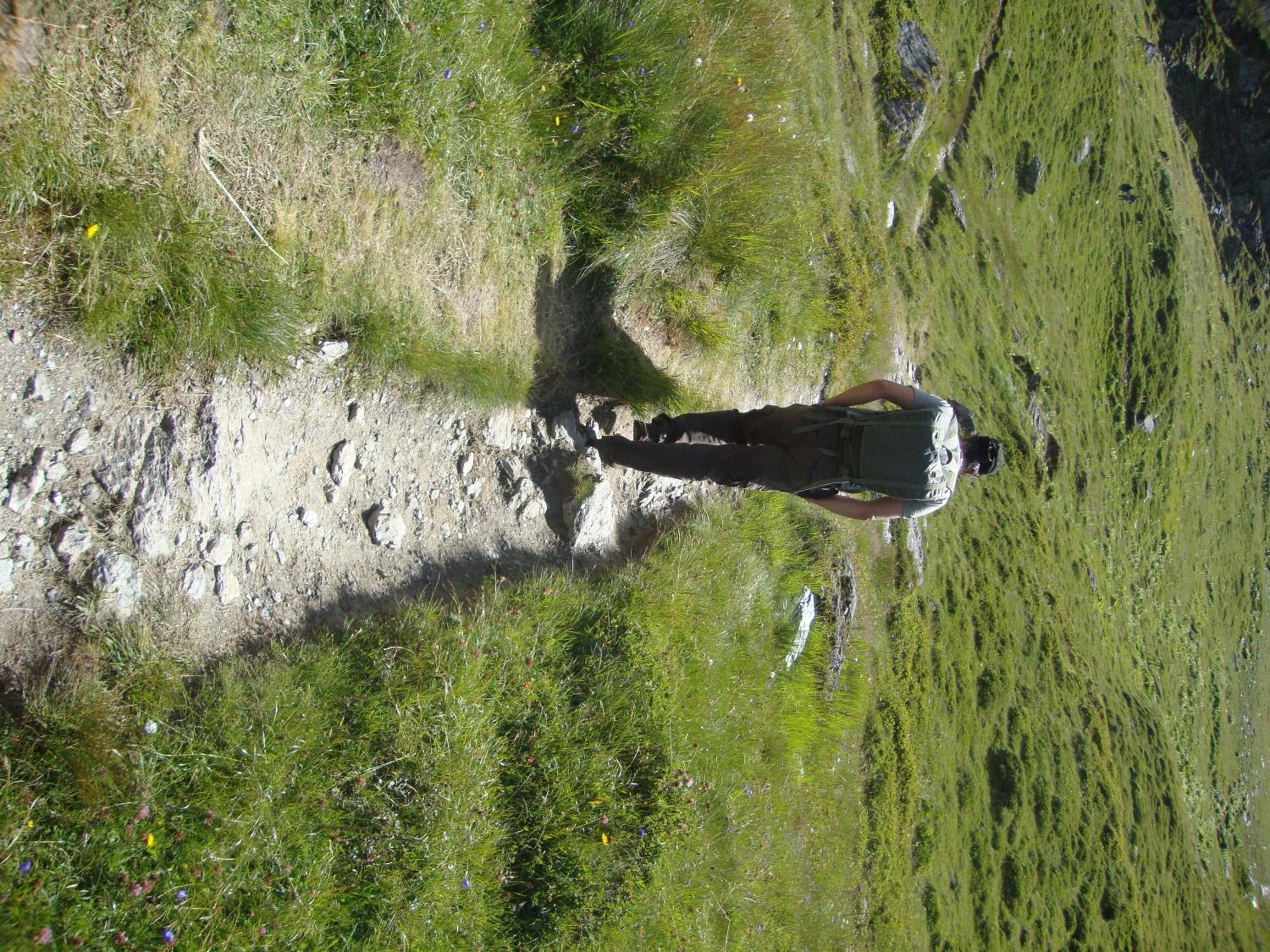 D'heïdi